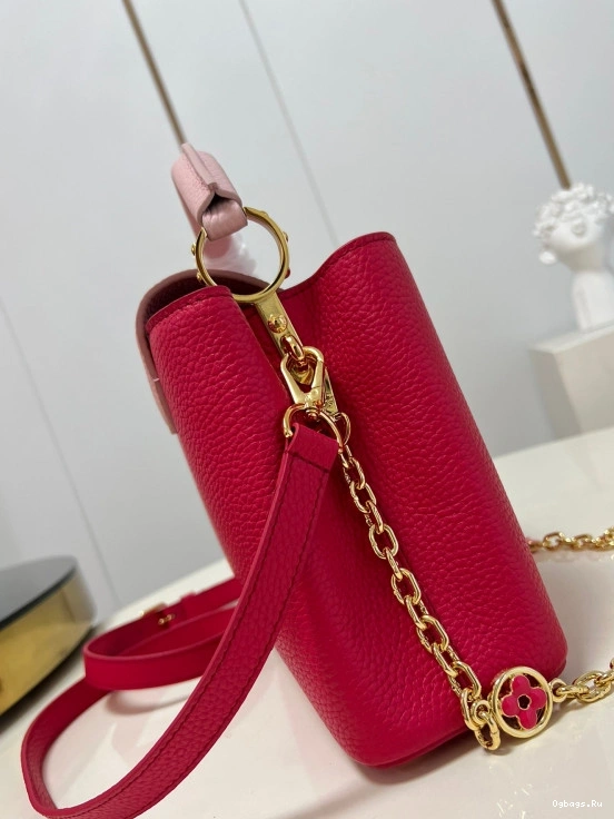 LOUIS VUITTON CAPUCINES BB 0118